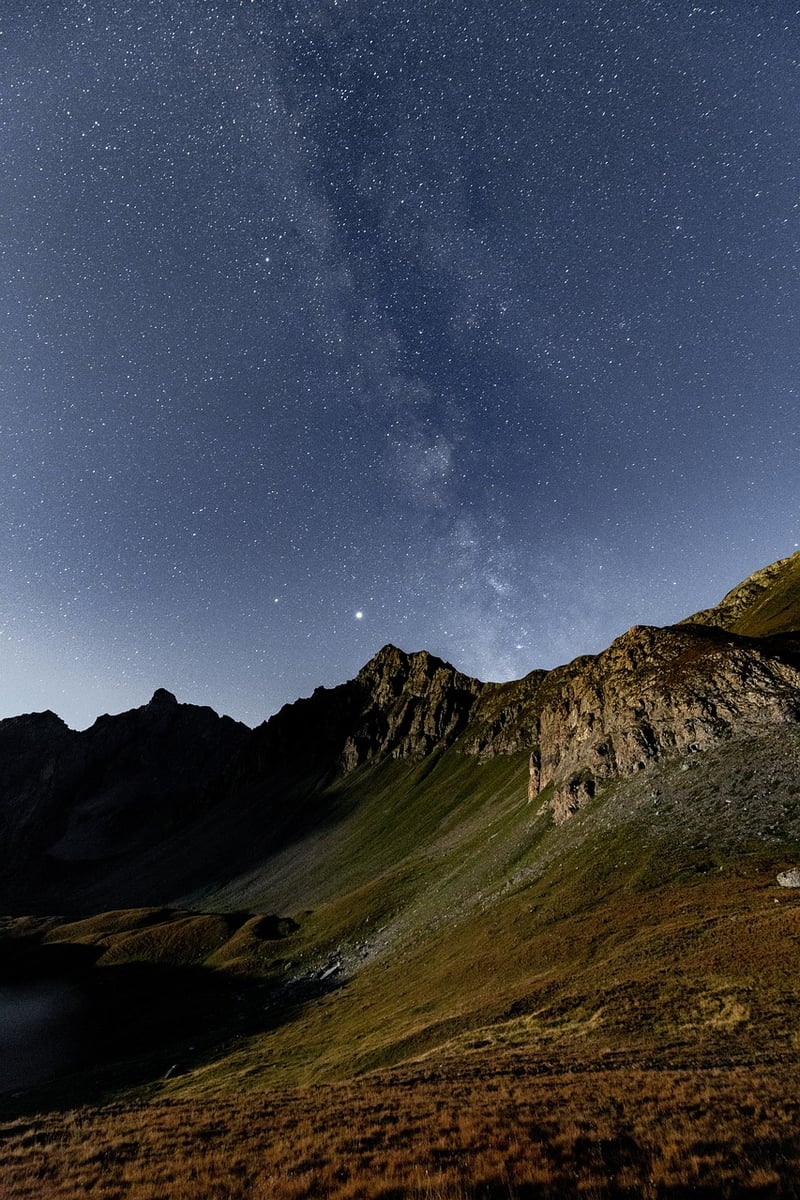 Starry Nights